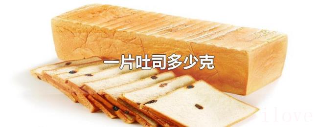 一片吐司多少克