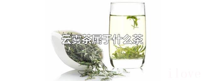 云雾茶属于什么茶 云雾茶属于什么茶