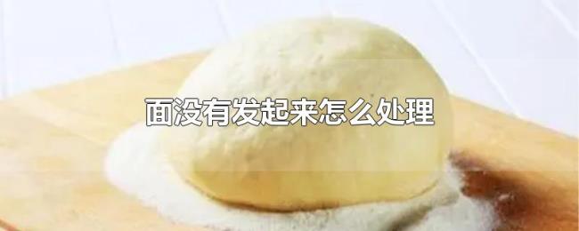 面没有发起来怎么处理 面没有发起来怎么处理