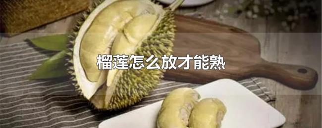 榴莲怎么放才能熟 榴莲怎么放才能熟