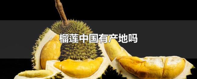 榴莲中国有产地吗 榴莲中国有产地吗