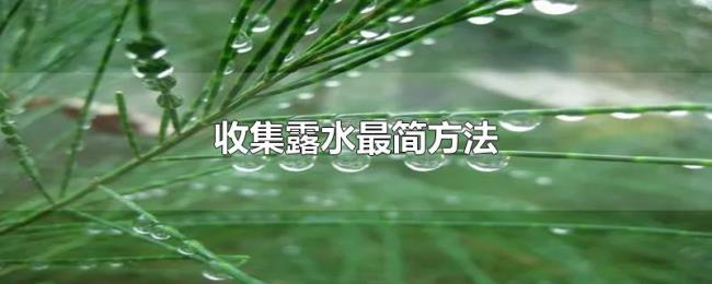 收集露水最简方法 收集露水最简方法