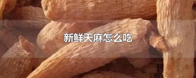 新鲜天麻怎么吃