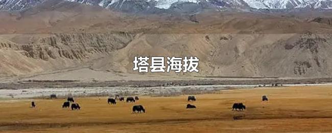 塔县海拔 塔县海拔