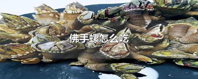 佛手螺怎么吃
