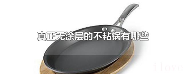 真正无涂层的不粘锅有哪些 真正无涂层的不粘锅有哪些