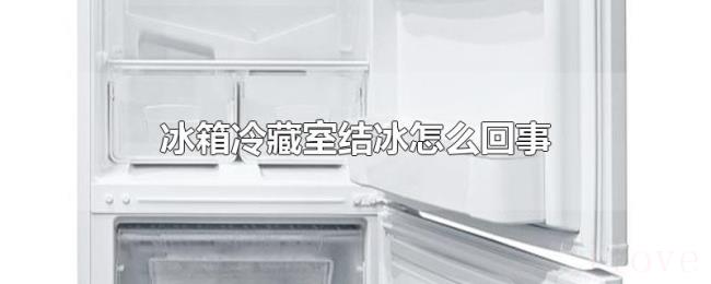 冰箱冷藏室结冰怎么回事 冰箱冷藏室结冰怎么回事