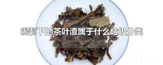 喝剩下的茶叶渣属于什么垃圾分类 喝剩下的茶叶渣属于什么垃圾分类