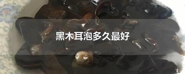 黑木耳泡多久最好 黑木耳泡多久最好