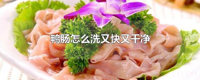 鸭肠怎么洗又快又干净