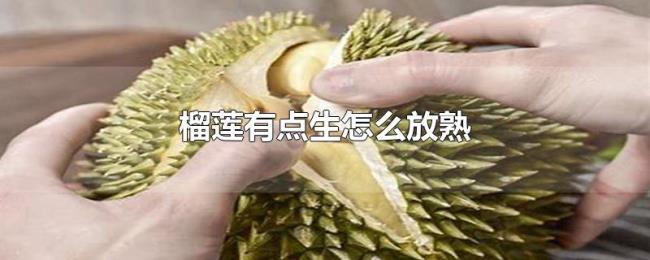 榴莲有点生怎么放熟 榴莲有点生怎么放熟