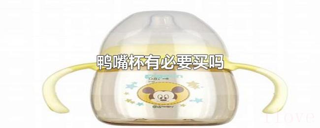 鸭嘴杯有必要买吗