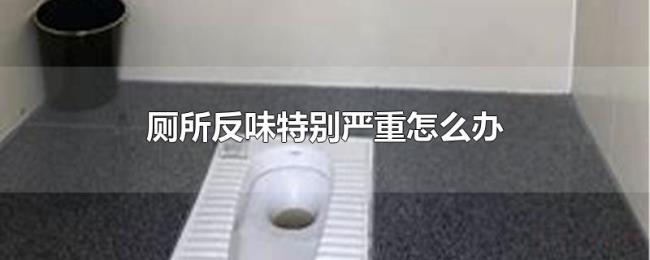 厕所反味特别严重怎么办 厕所反味特别严重怎么办