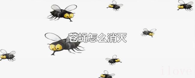 苍蝇怎么消灭 苍蝇怎么消灭