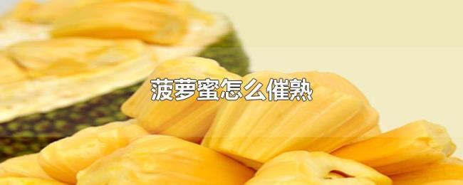 菠萝蜜怎么催熟 菠萝蜜怎么催熟