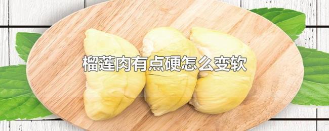 榴莲肉有点硬怎么变软 榴莲肉有点硬怎么变软