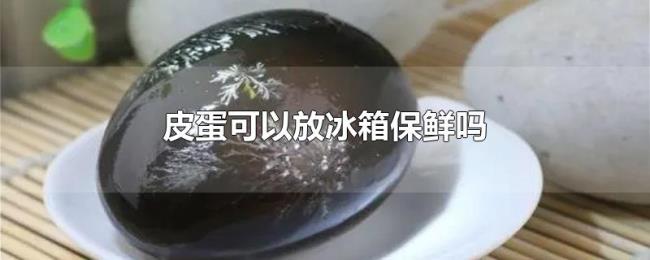 皮蛋可以放冰箱保鲜吗 皮蛋可以放冰箱保鲜吗