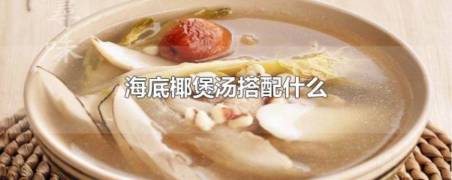 海底椰煲汤搭配什么 海底椰煲汤搭配什么