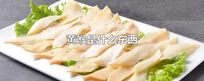 黄喉是什么东西 黄喉是什么东西