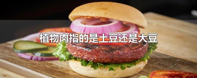 植物肉指的是土豆还是大豆 植物肉指的是土豆还是大豆