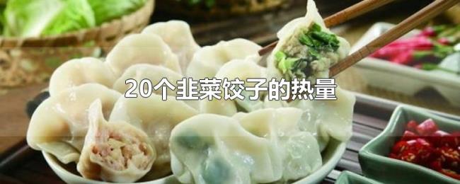 20個韭菜餃子的熱量