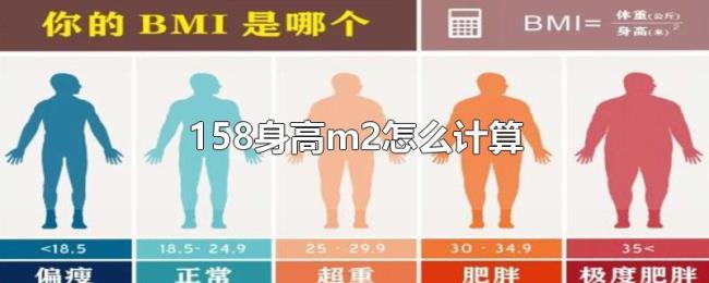 158身高m2怎么计算 158身高m2怎么计算