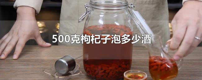 500克枸杞子泡多少酒 500克枸杞子泡多少酒