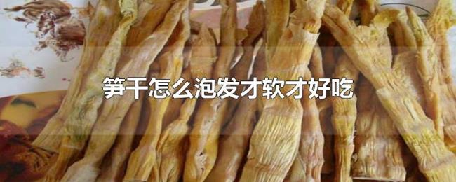 笋干怎么泡发才软才好吃
