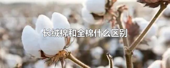 长绒棉和全棉什么区别 长绒棉和全棉什么区别