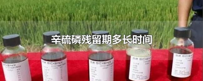 辛硫磷残留期多长时间 辛硫磷残留期多长时间