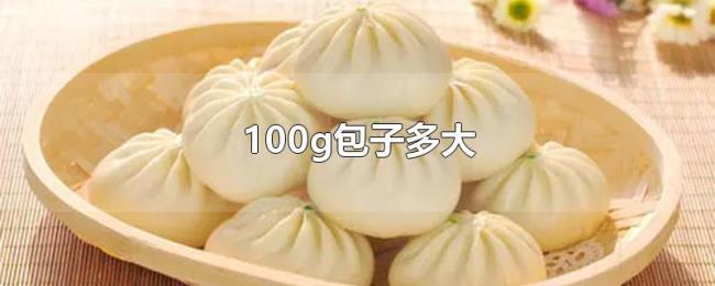 100g包子多大 100g包子多大