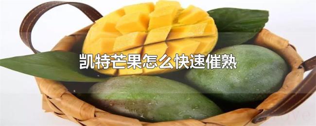 凯特芒果怎么快速催熟 凯特芒果怎么快速催熟