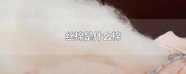 丝棉是什么棉 丝棉是什么棉