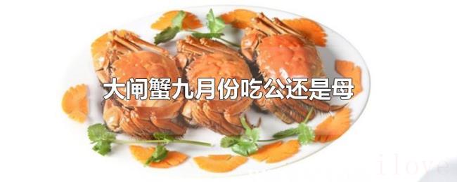 大闸蟹九月份吃公还是母 大闸蟹九月份吃公还是母