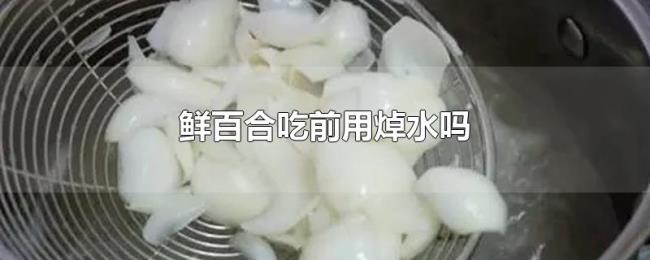 鲜百合吃前用焯水吗 鲜百合吃前用焯水吗