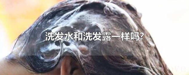 洗发水和洗发露一样吗? 洗发水和洗发露一样吗?