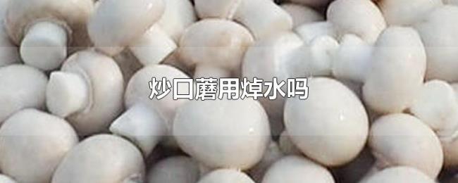 炒口蘑用焯水吗 炒口蘑用焯水吗
