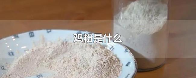 鸡粉是什么 鸡粉是什么