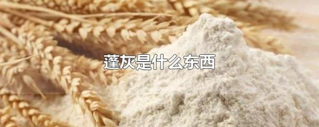 蓬灰是什么东西 蓬灰是什么东西