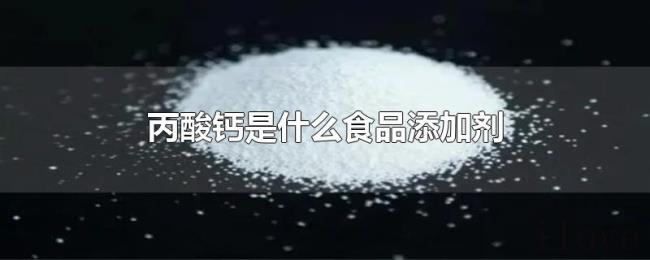 丙酸钙是什么食品添加剂 丙酸钙是什么食品添加剂