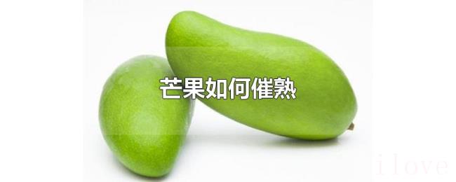 芒果如何催熟 芒果如何催熟