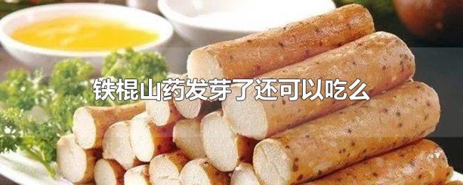 铁棍山药发芽了还可以吃么 铁棍山药发芽了还可以吃么