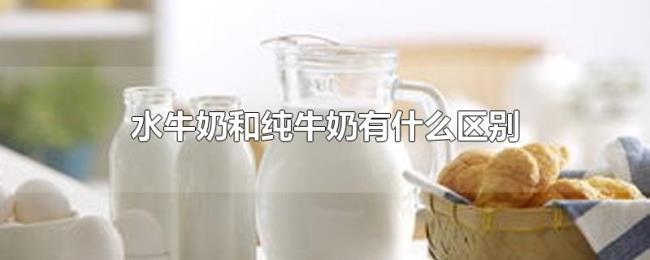 水牛奶和纯牛奶有什么区别 水牛奶和纯牛奶有什么区别