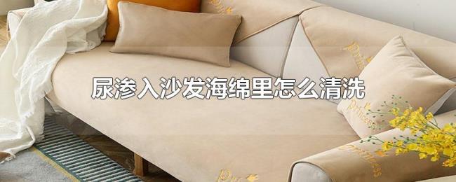 尿渗入沙发海绵里怎么清洗 尿渗入沙发海绵里怎么清洗
