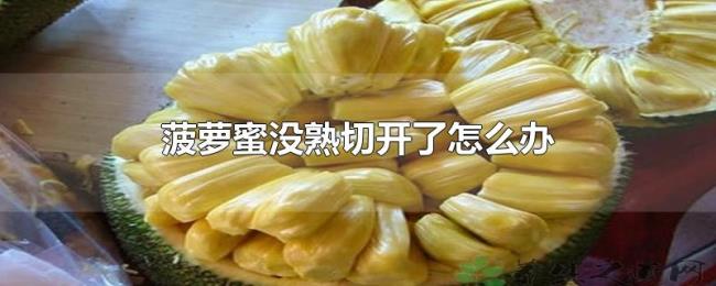 菠萝蜜没熟切开了怎么办 菠萝蜜没熟切开了怎么办