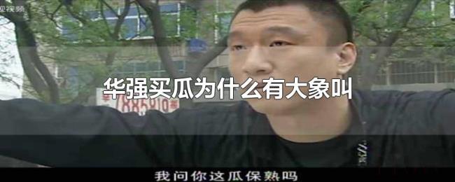 华强买瓜为什么有大象叫 华强买瓜为什么有大象叫
