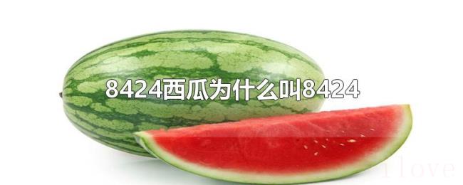 8424西瓜为什么叫8424 8424西瓜为什么叫8424