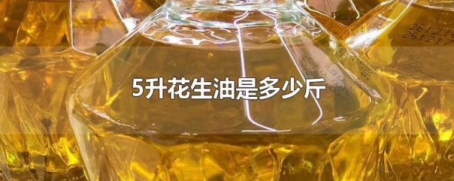 5升花生油是多少斤 5升花生油是多少斤