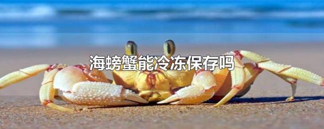 海螃蟹能冷冻保存吗 海螃蟹能冷冻保存吗