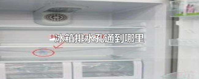 冰箱排水孔通到哪里